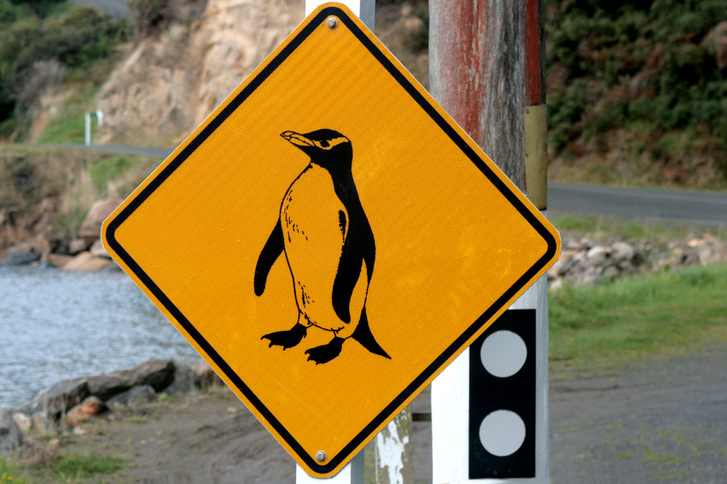 Kiwi Roadsign II