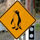 Kiwi Roadsign II