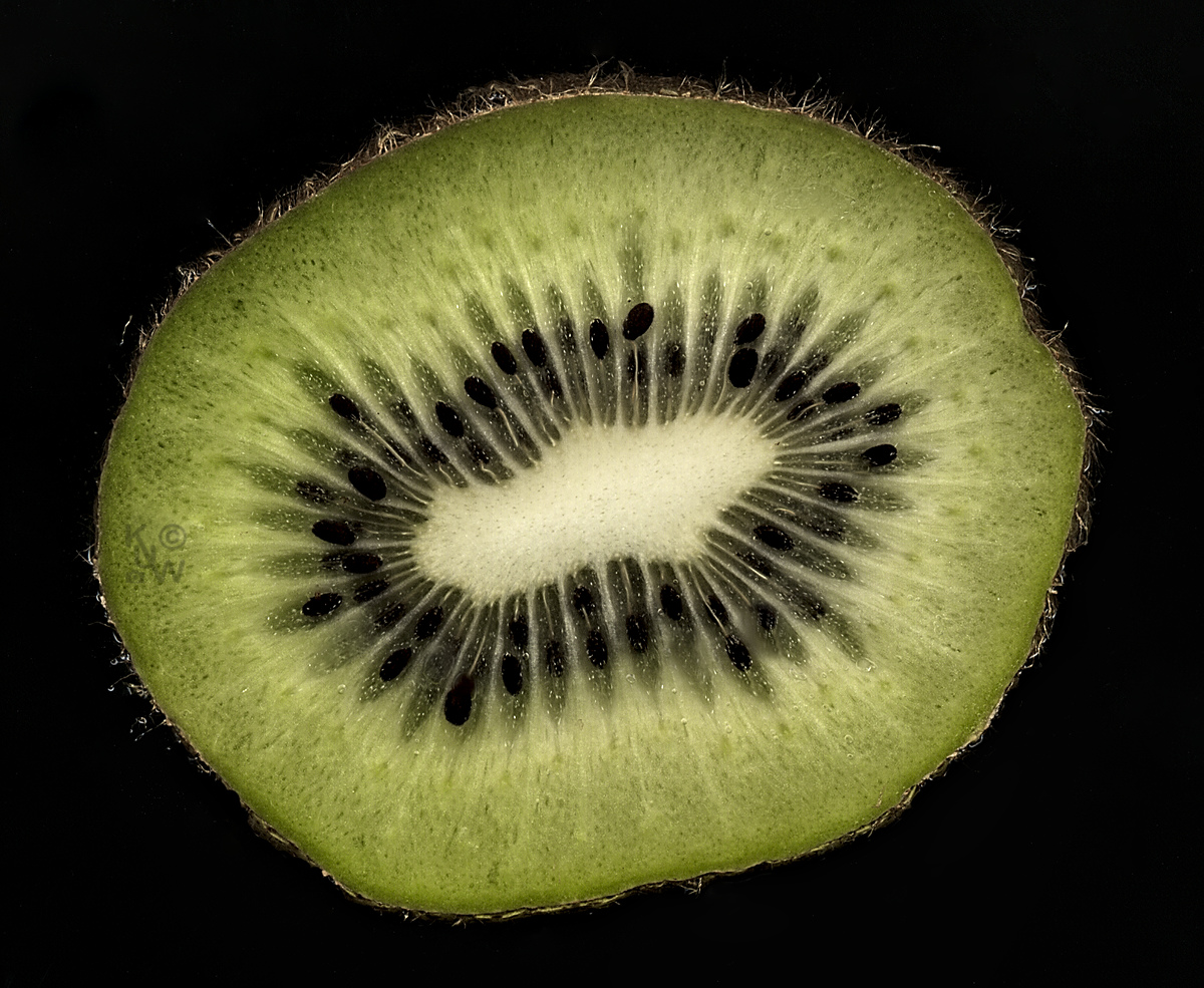 Kiwi Scan