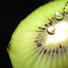 Kiwi und Wasser