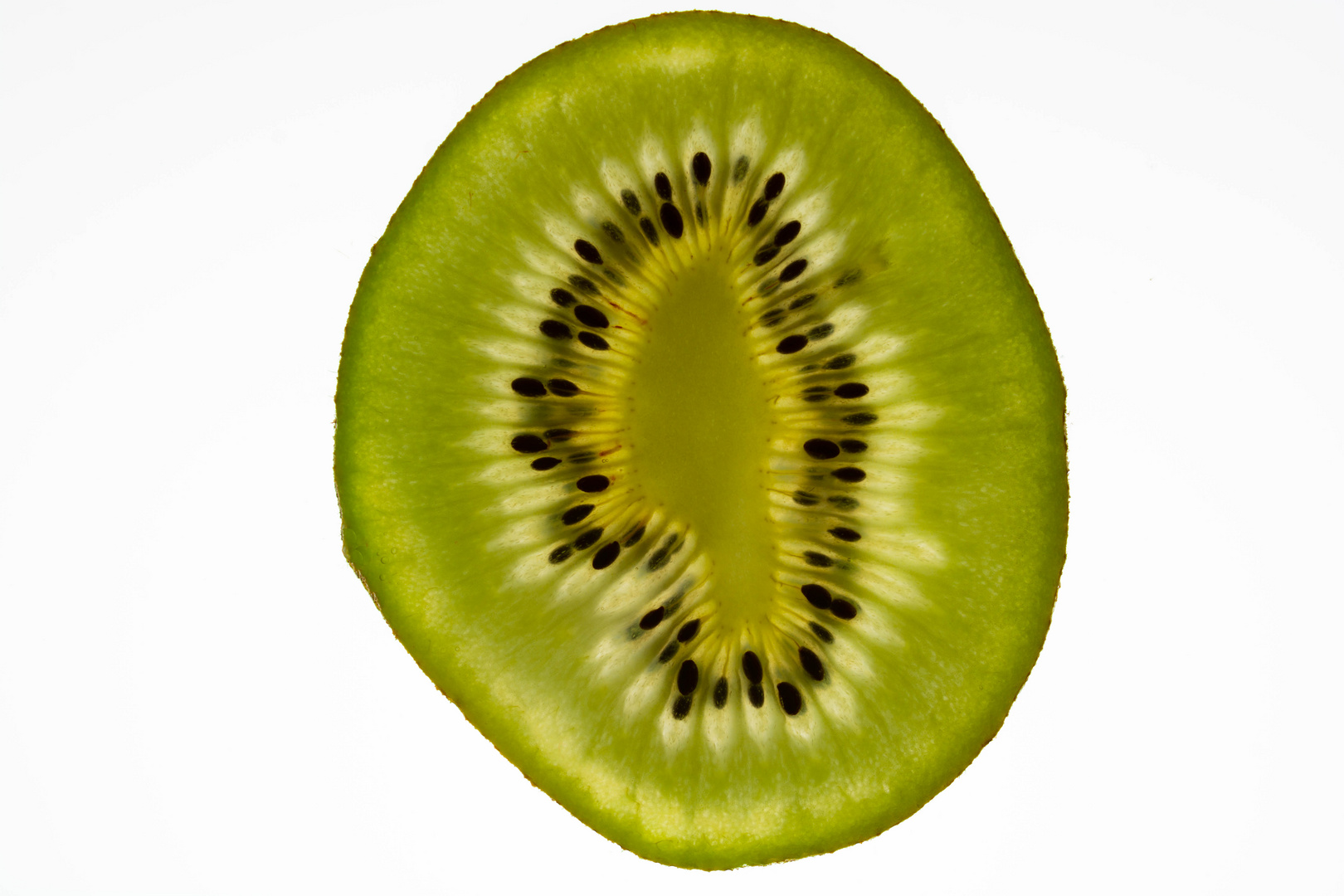 Kiwi_1