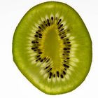 Kiwi_1