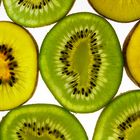 Kiwi_2