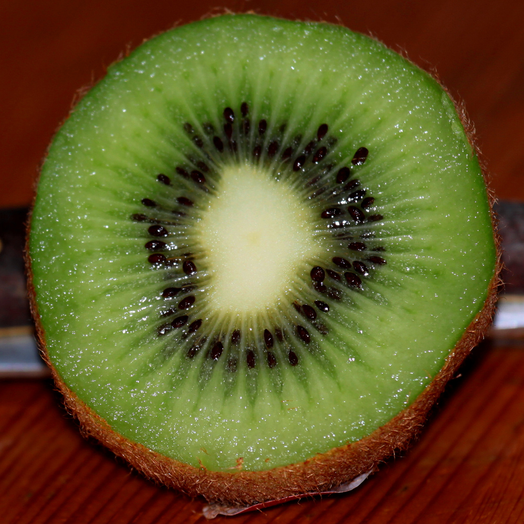 Kiwi...Kiwi......