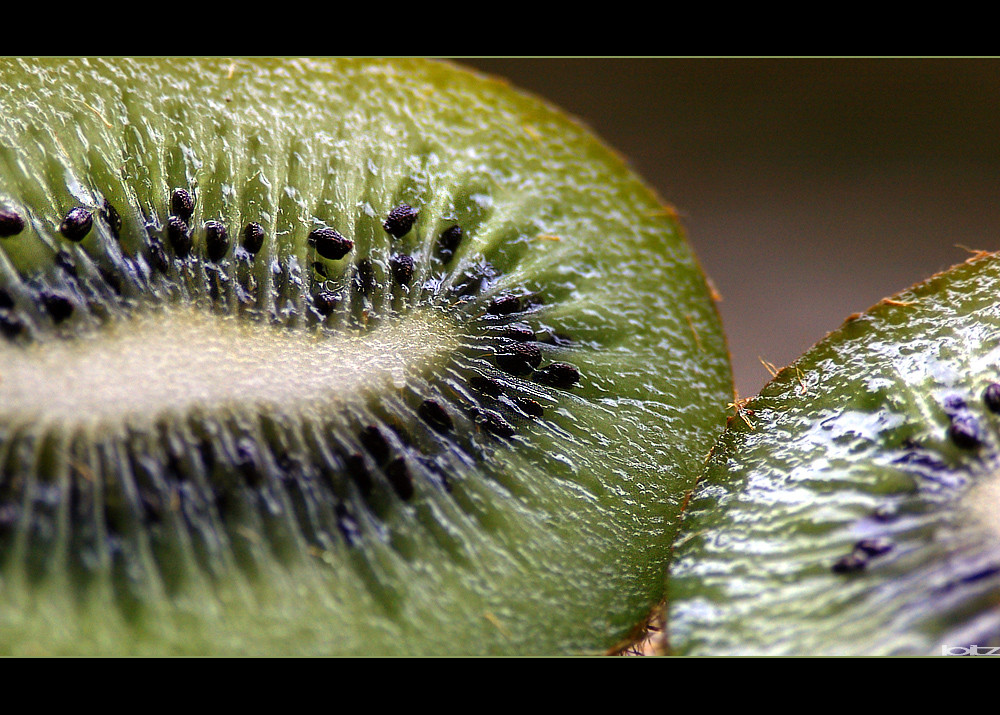 - kiwis -