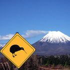 Kiwis Crossing