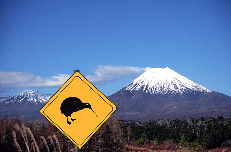 Kiwis Crossing