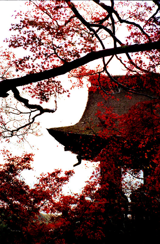 Kiyomizu