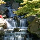 Kiyoto Gardens Waterfall