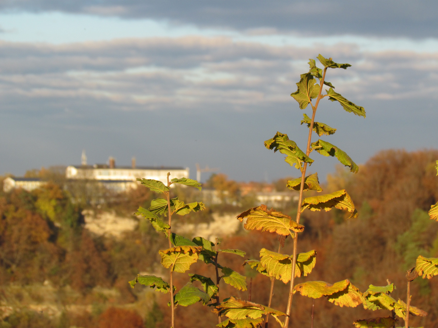 KKH Burghausen