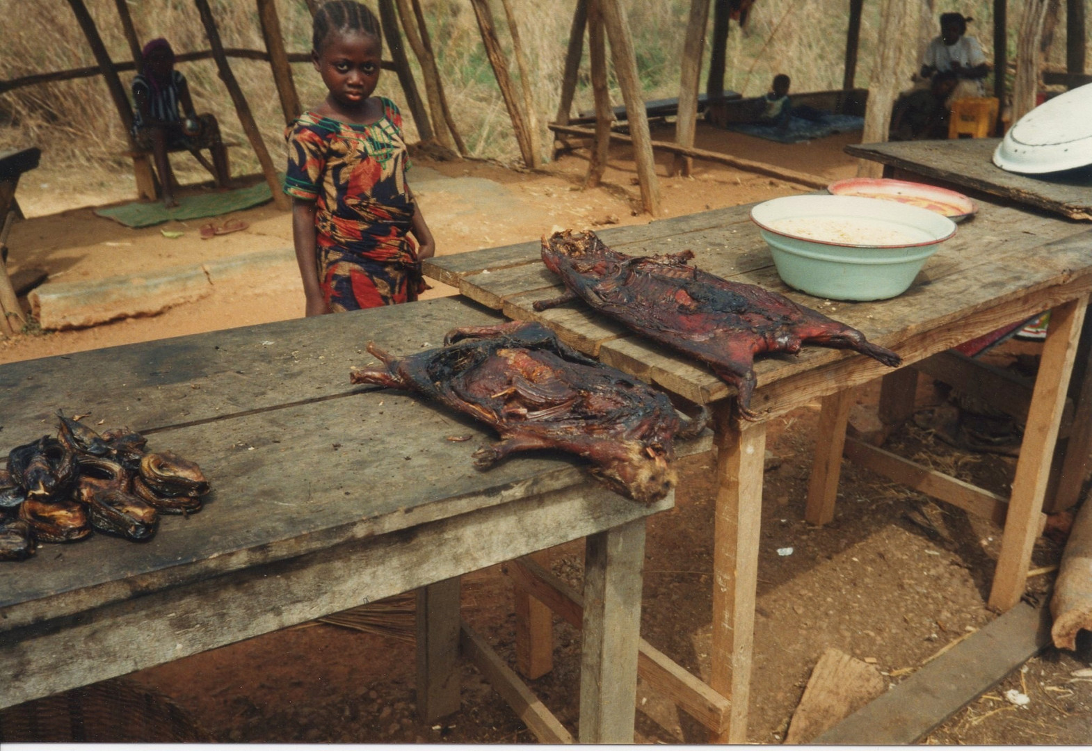 KKM - Grasscutter - Spezialität aus Nigeria - Weihnachten bei meinen Eltern in Abuja 1988