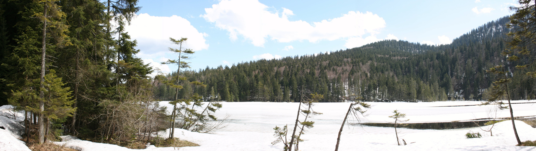 kl. Pano vom gr. Arbersee