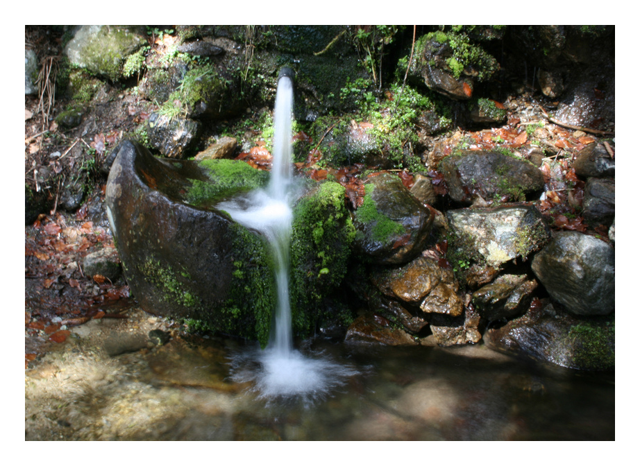 kl. Wasserzulauf zum gr. Abersee