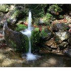 kl. Wasserzulauf zum gr. Abersee