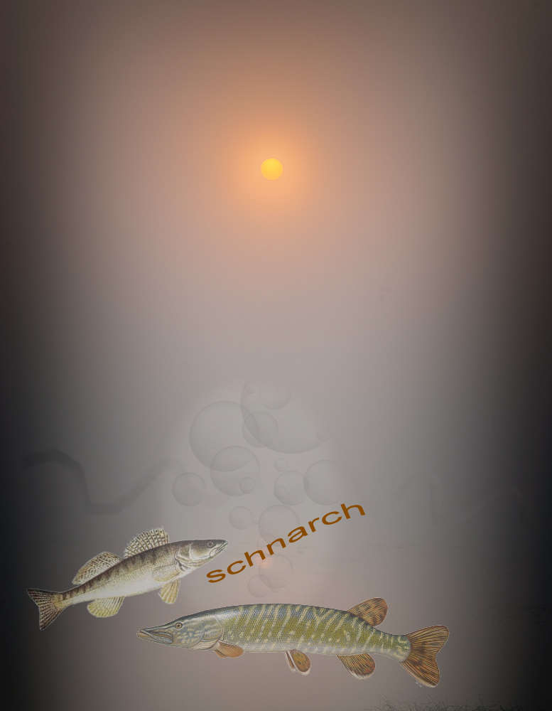 Klacky seine Fischwelt