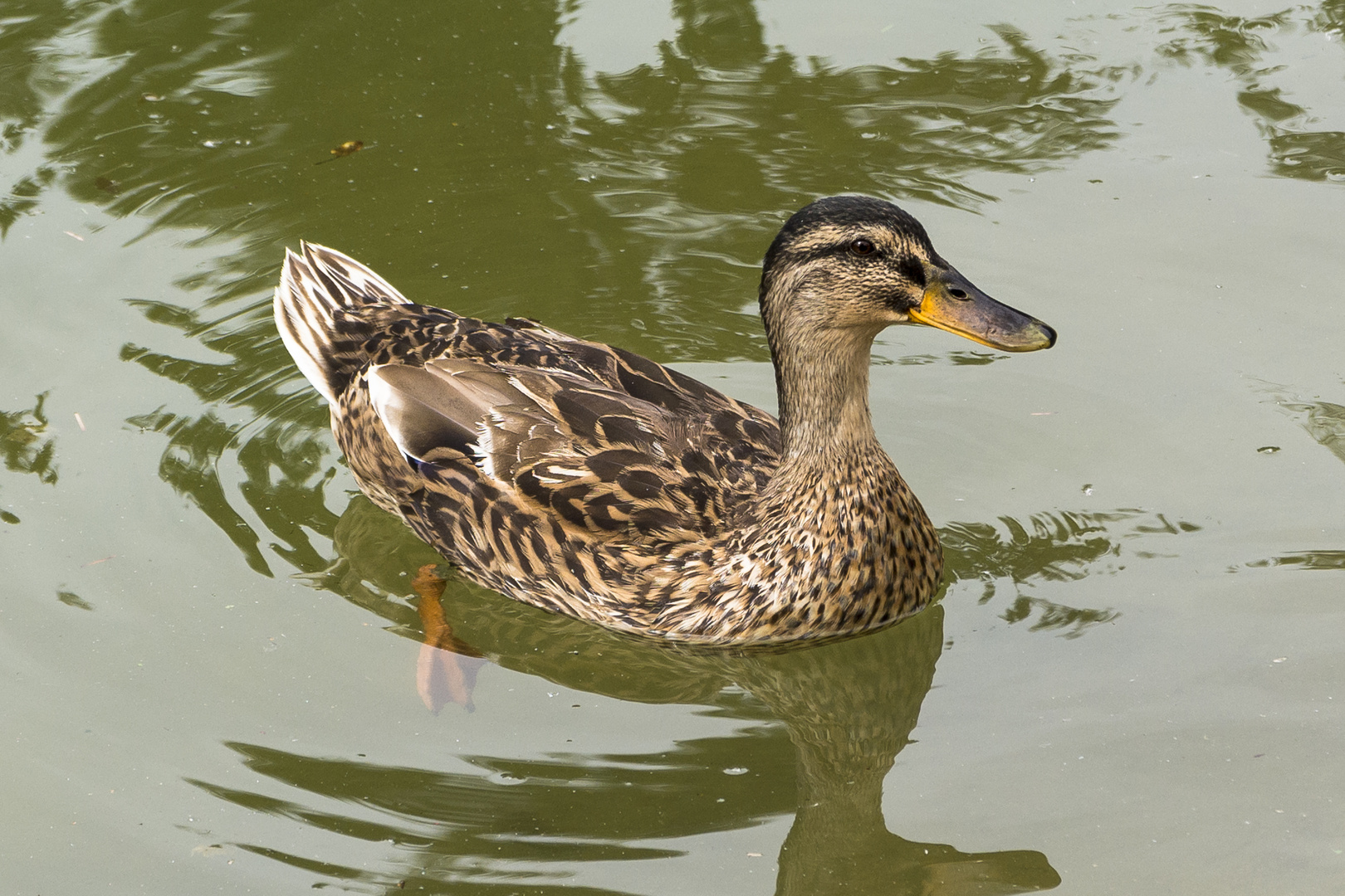 Klagenfurt Europapark