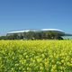 Klagenfurter Stadion im Herbst