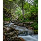 Klamm am Grünen See