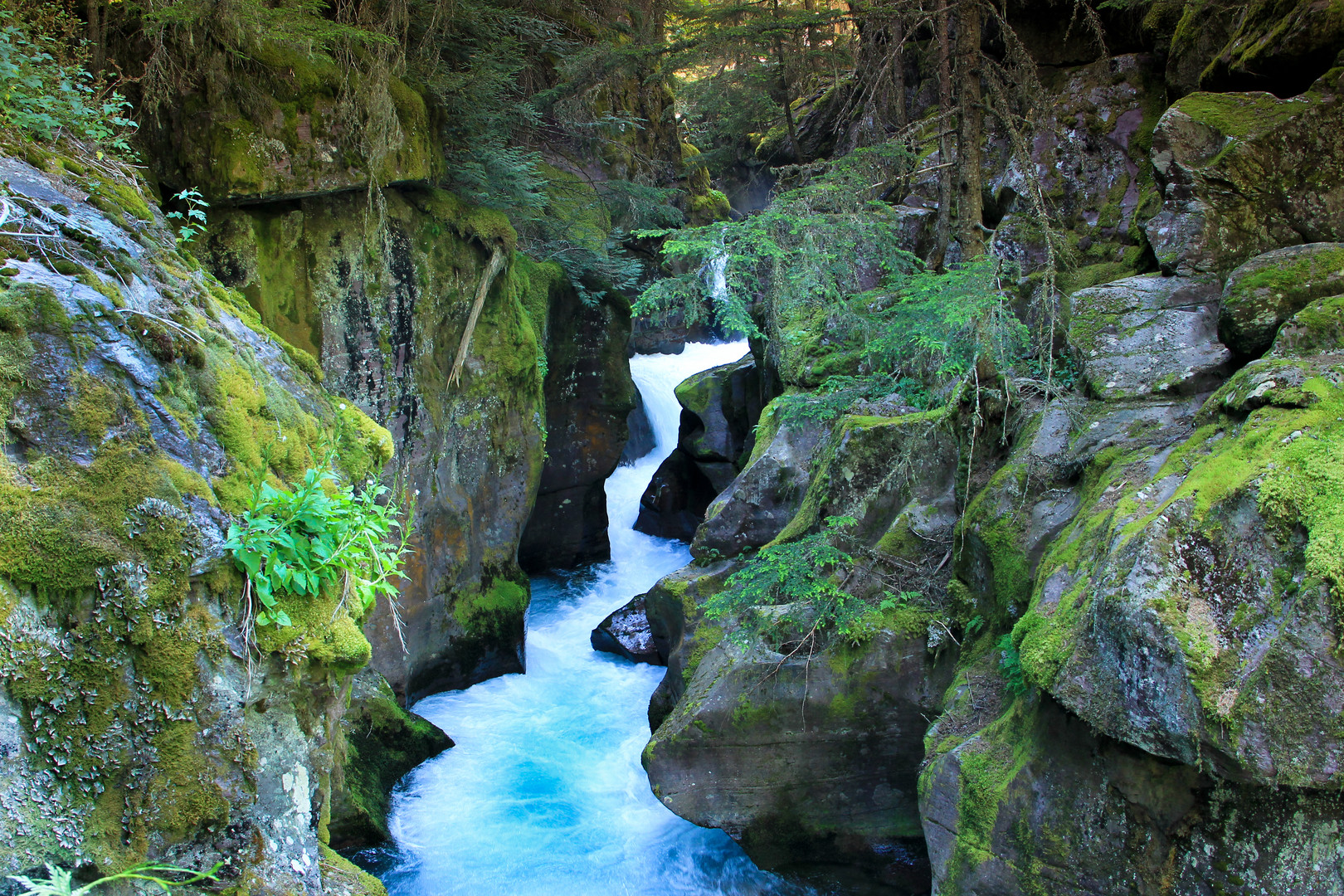 Klamm im Glacier NP, Montana