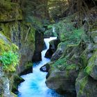 Klamm im Glacier NP, Montana