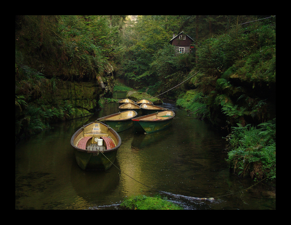 Klamm in der Sächsisch-Böhmischen Schweiz