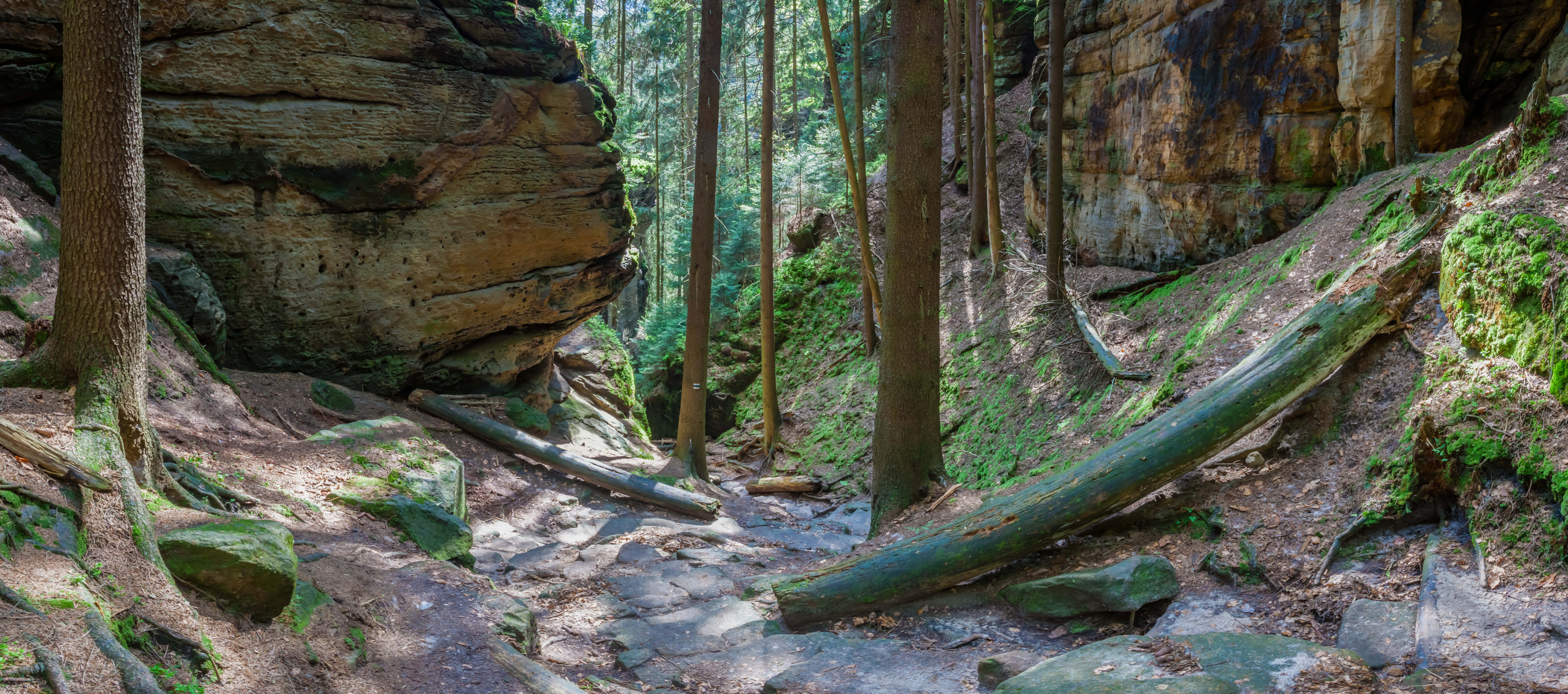 Klamm zur Kamnitz