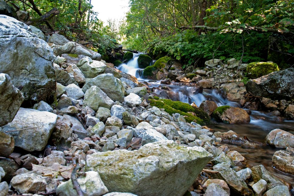 Klammbach Dr.Vogelsangklamm