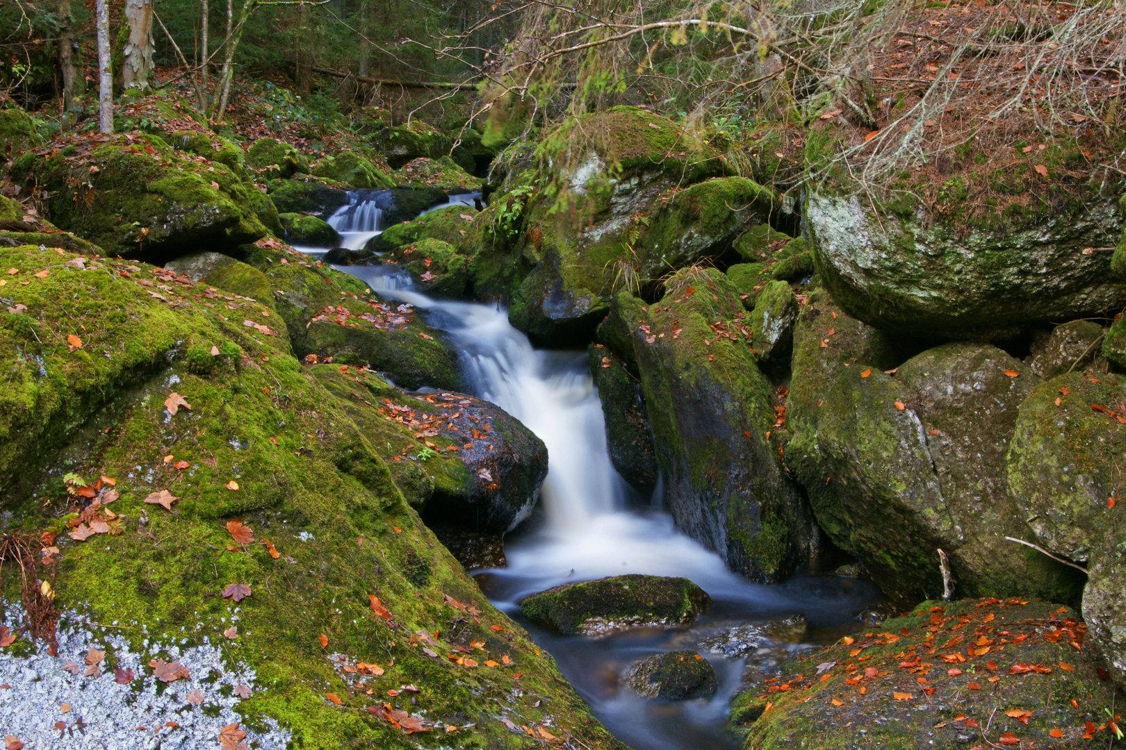 Klammleiten im Herbst