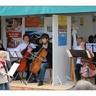 Klangpartie an der Schlei - Celloensemble