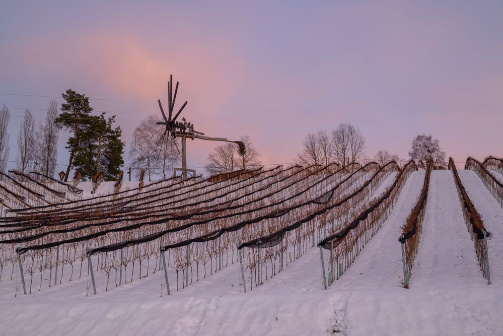Klapotetz Foto & Bild winter, natur, motive Bilder auf