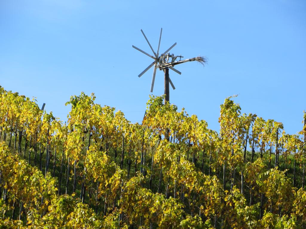 Klapotetz - Vogelschäuche im Weinland