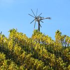 Klapotetz - Vogelschäuche im Weinland