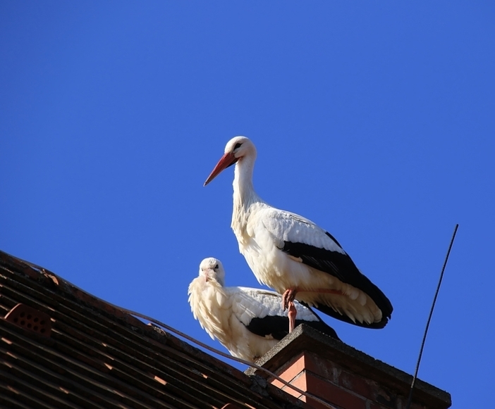 Klappern gehört zum Geschäft :)