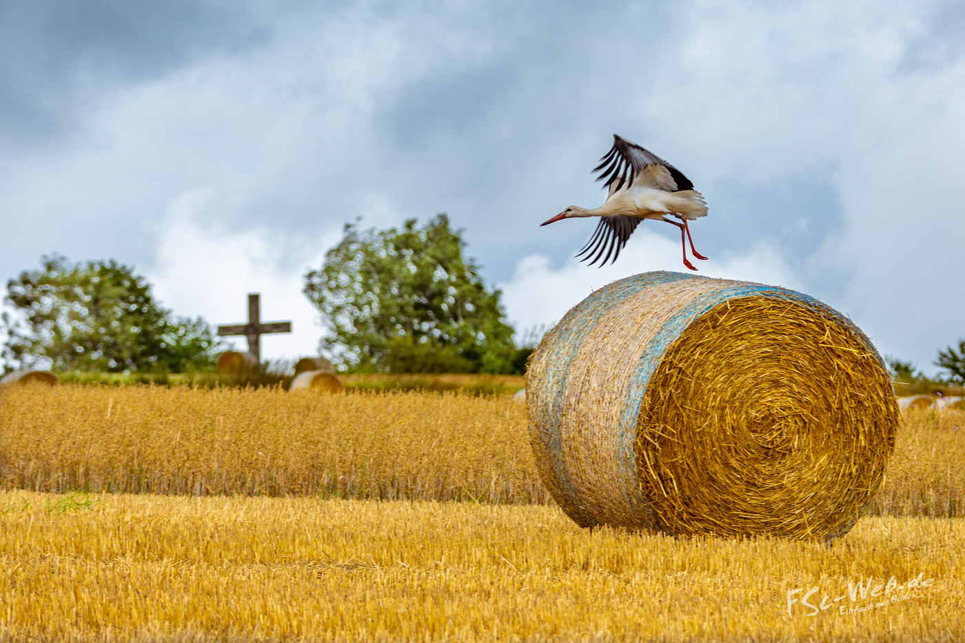 Klapperstorch ohne Baby