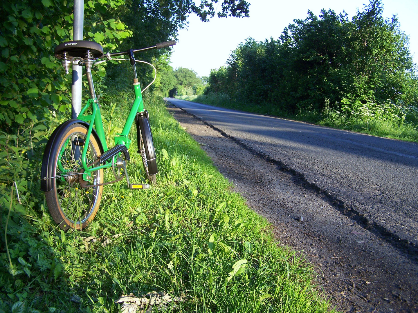 Klapprad grün gemacht