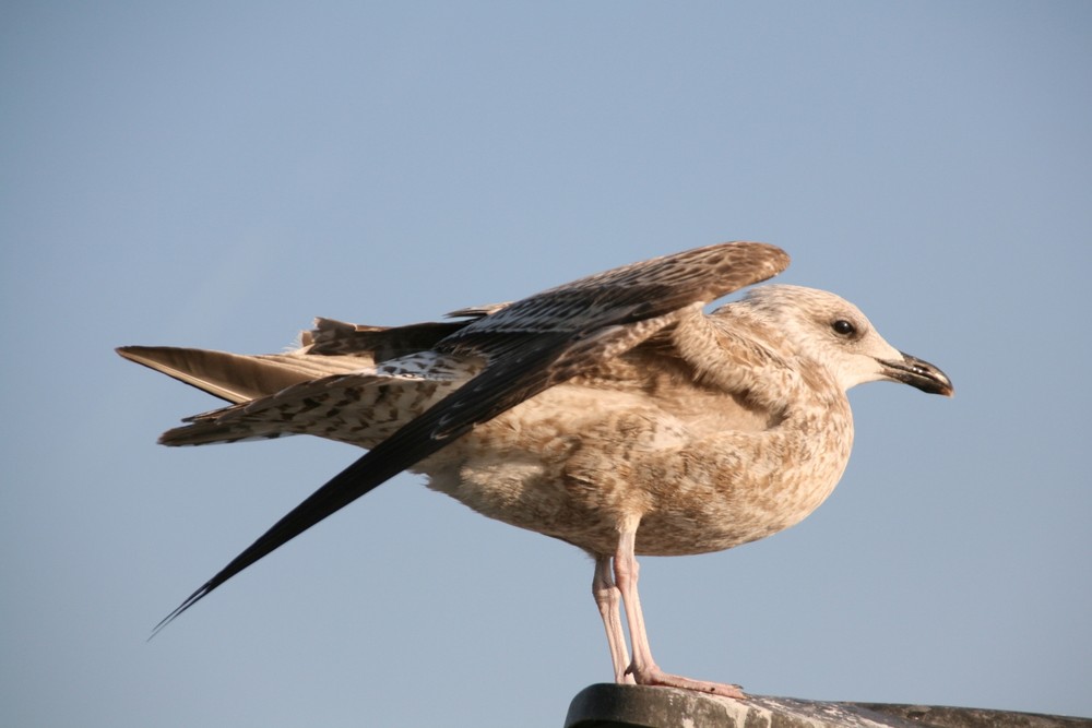 Klar zum Abflug