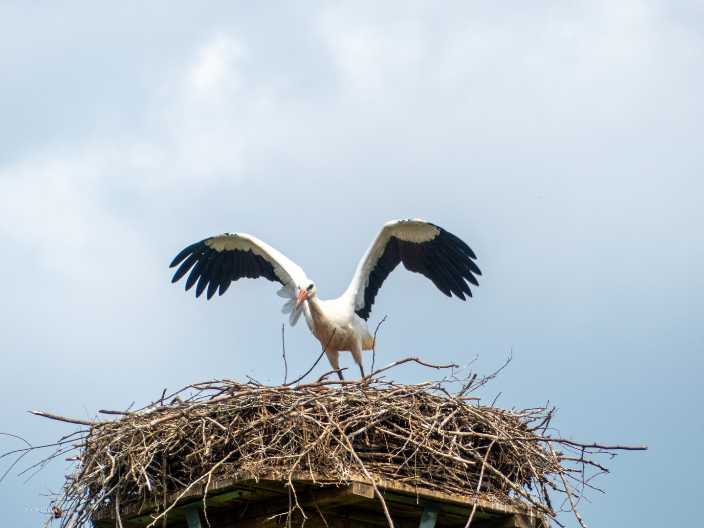 Klar zum Abflug...