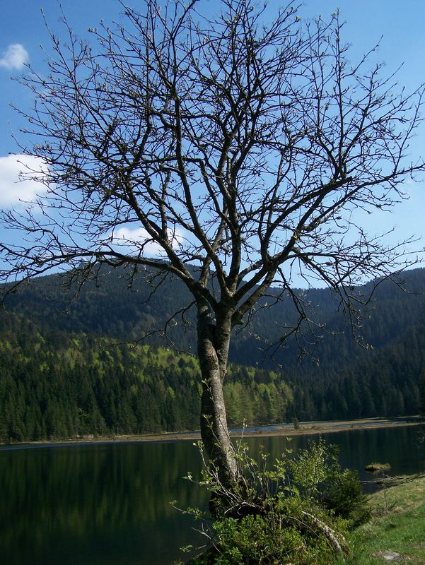 Kl.Arbersee