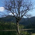 Kl.Arbersee