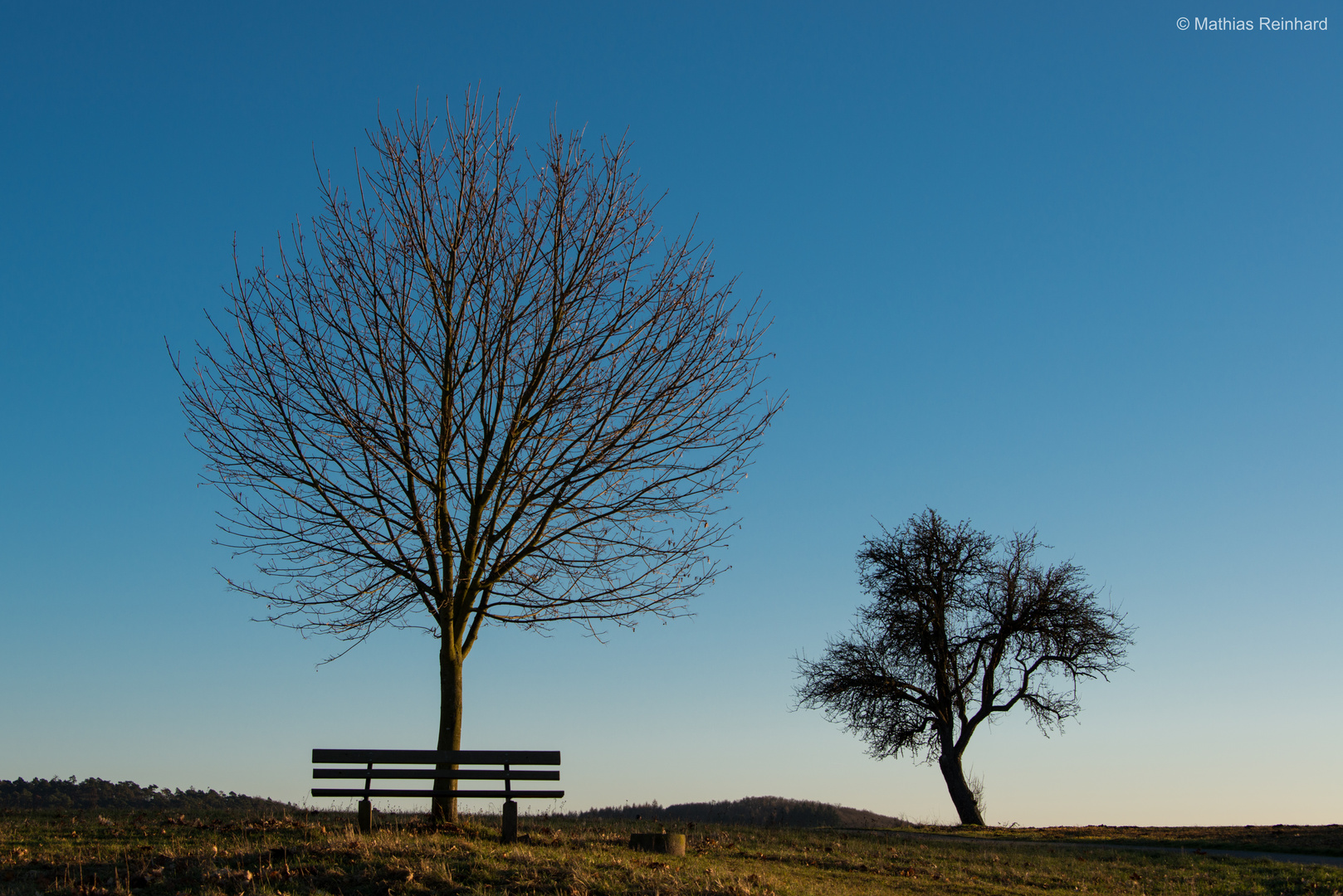 Klare Luft, blauer Himmel und Bäume im Dezember