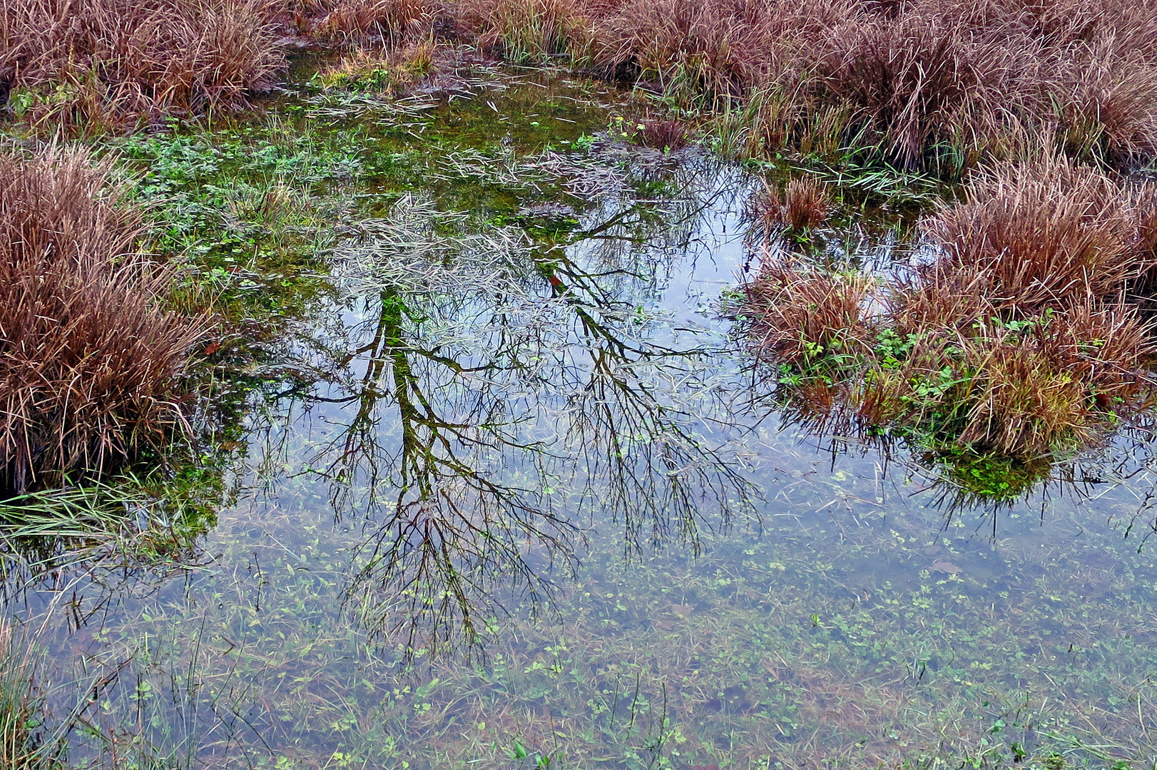 Klare Luft, klares Wasser und kein Wind