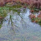 Klare Luft, klares Wasser und kein Wind