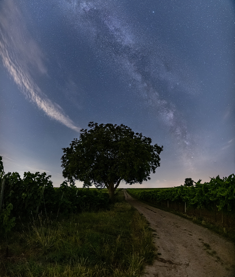 Klare Nacht ....