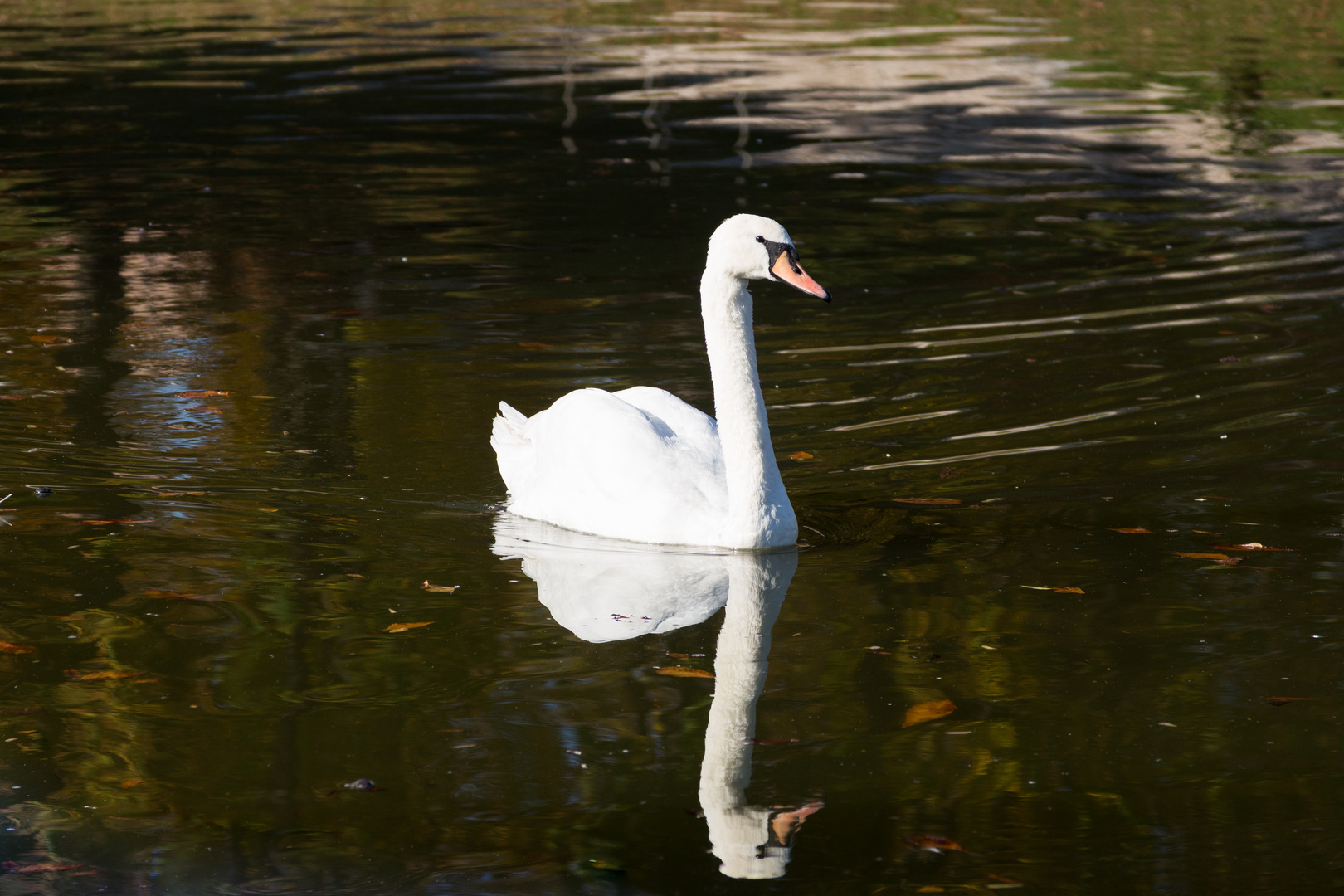 klare Reflektion