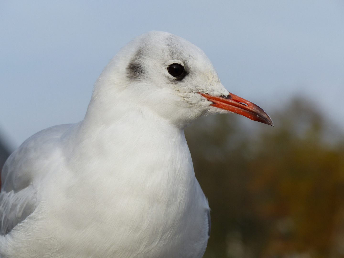 Klare Sicht