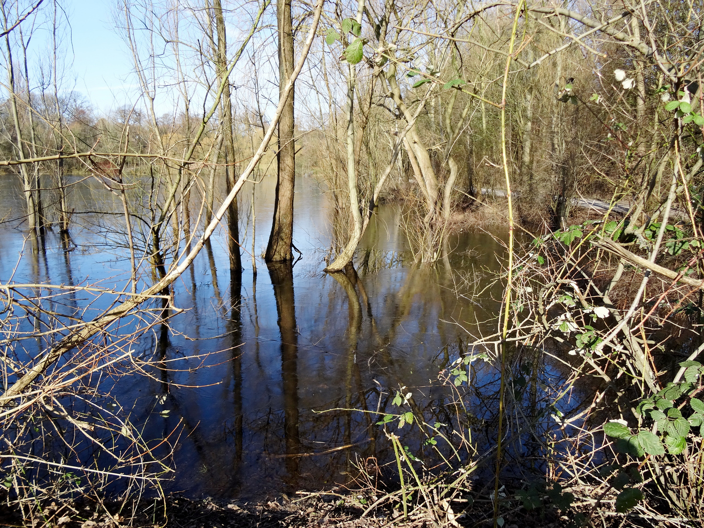 Klare Spiegelungen im Eis und Wasser    (spiegeltag )