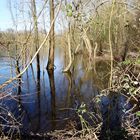 Klare Spiegelungen im Eis und Wasser    (spiegeltag )