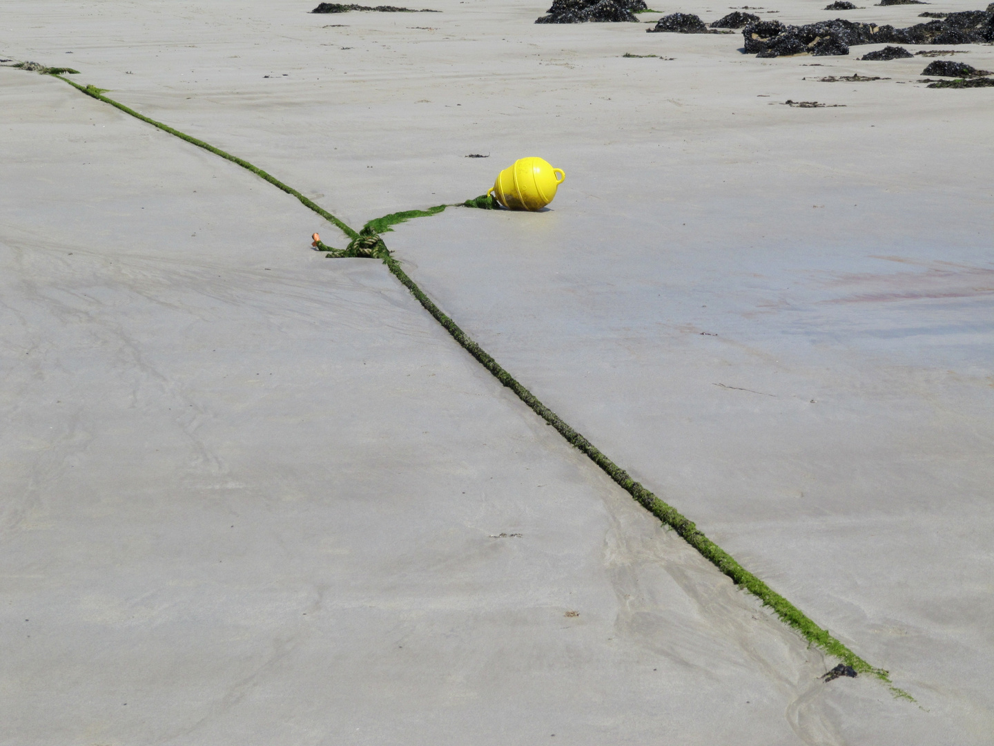 klare Strukturen im Sand