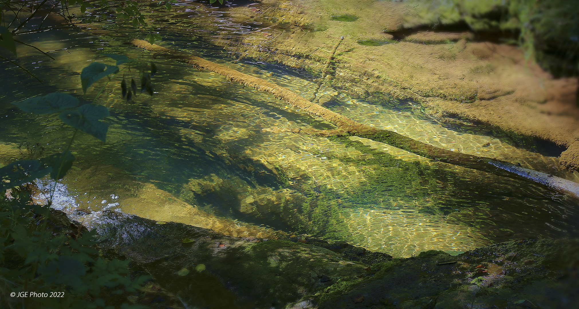 Klarer Bach der Gaugach Foto & Bild deutschland, europe, baden