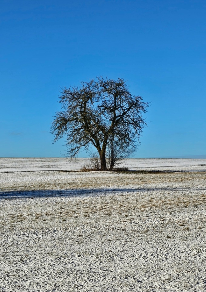 Klarer Blick